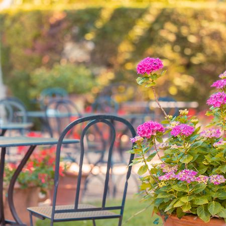 Hotel Le Donjon - Coeur De La Cite Medievale Carcassonne Ngoại thất bức ảnh